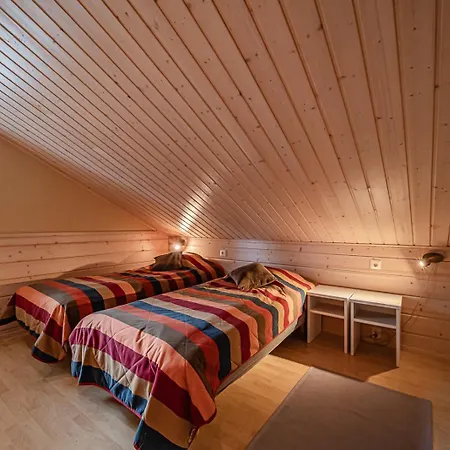 Hiihtogreeni A Ski-in Ski-out By Aavalevi 列维