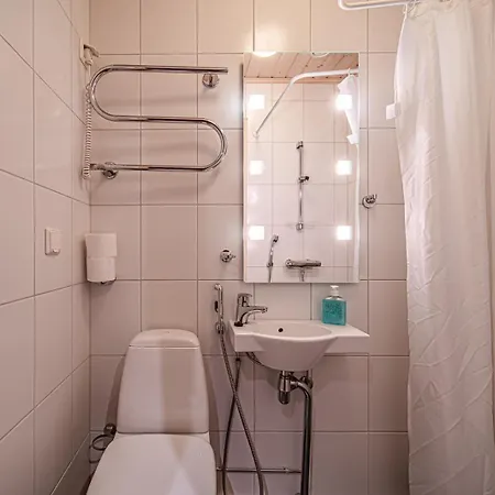 Hiihtogreeni A Ski-in Ski-out By Aavalevi 别墅